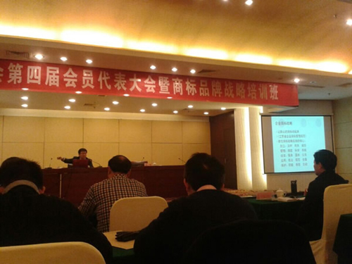 星光積極參加泰州市商標協會第四屆會員代表大會1